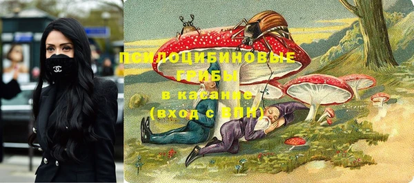 дурь Горно-Алтайск