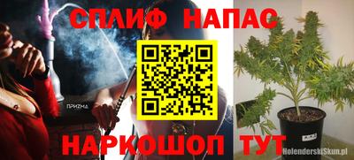 ECSTASY Гатчина