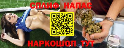 ECSTASY Гатчина
