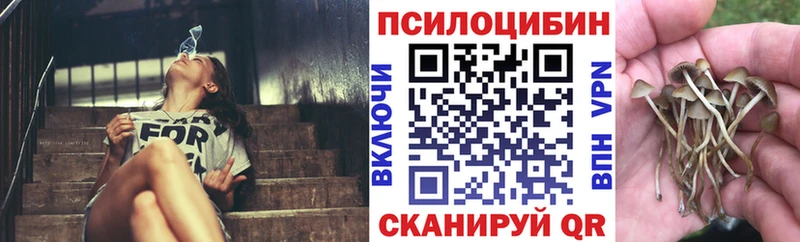 Галлюциногенные грибы Cubensis Мценск