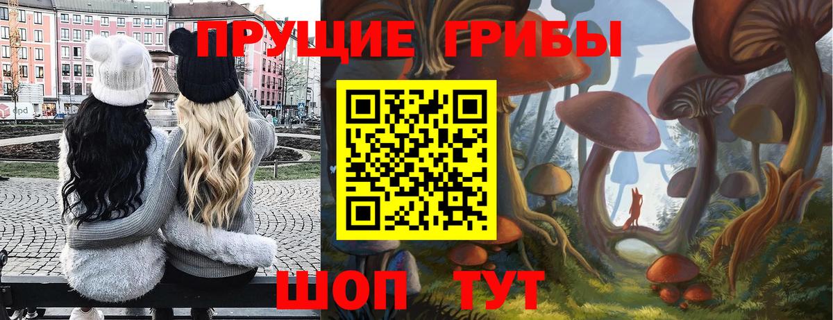 наркотики  Псилоцибиновые грибы GOLDEN TEACHER  Вход с VPN  Мценск 