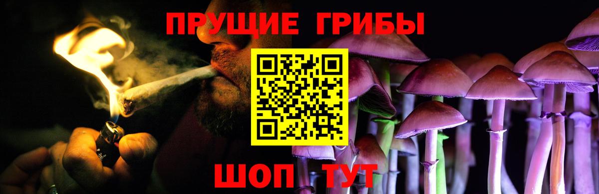 Галлюциногенные грибы мицелий  где найти наркотики  Мценск 